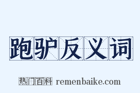 跑驴反义词是什么意思的图片